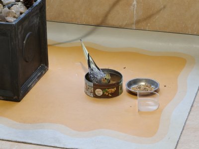 IMG20250615181940.jpg